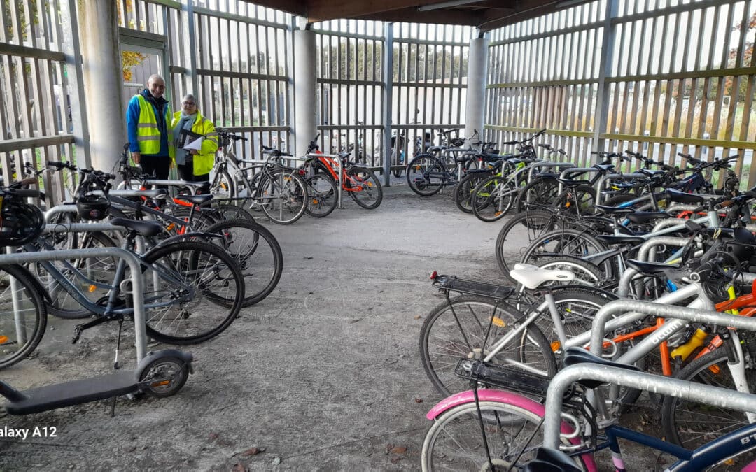 Collégiens collégiennes brillez